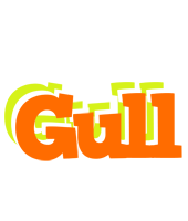 Gull healthy logo