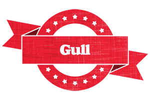 Gull passion logo