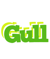 Gull picnic logo