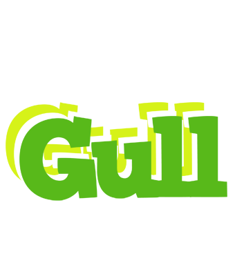 Gull picnic logo
