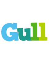 Gull rainbows logo