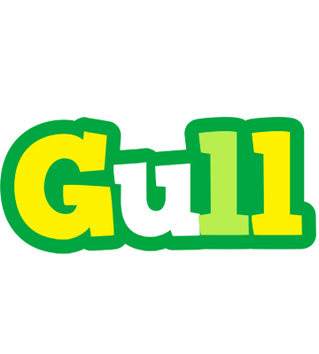 Gull soccer logo
