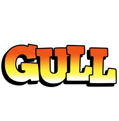 Gull sunset logo