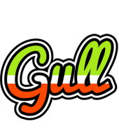 Gull superfun logo