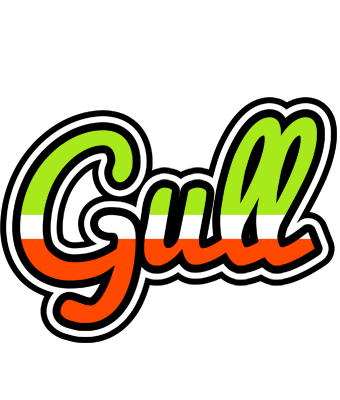 Gull superfun logo