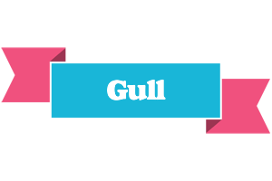 Gull today logo