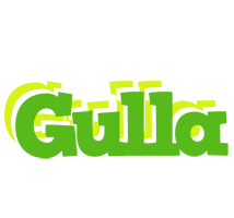 Gulla picnic logo