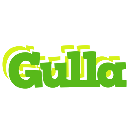 Gulla picnic logo
