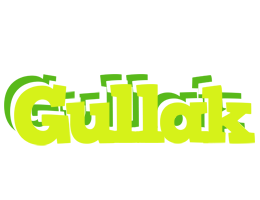 Gullak citrus logo