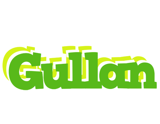 Gullan picnic logo