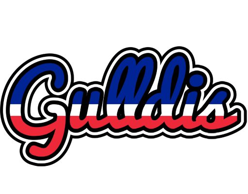 Gulldis france logo
