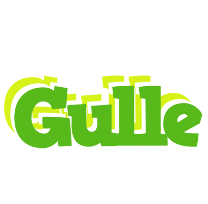 Gulle picnic logo