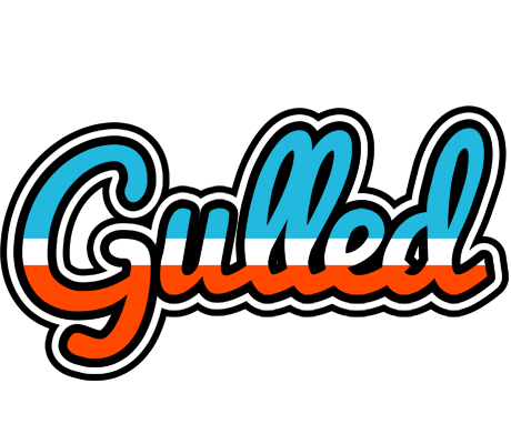 Gulled america logo