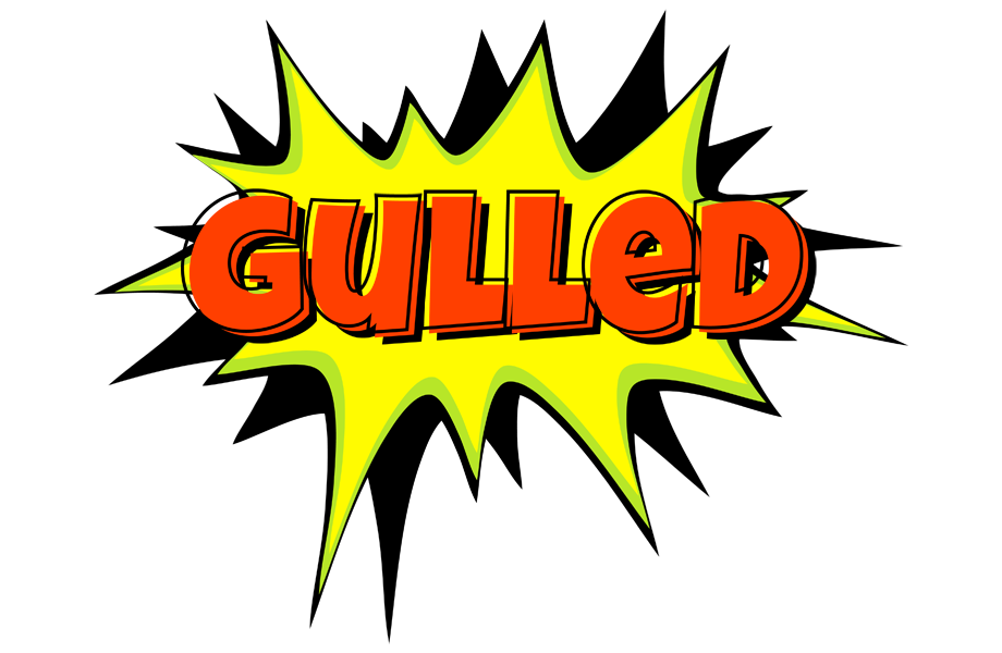 Gulled bigfoot logo