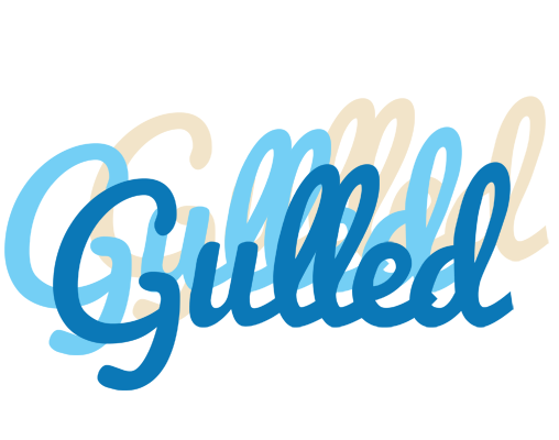 Gulled breeze logo