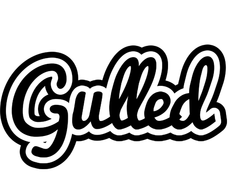 Gulled chess logo