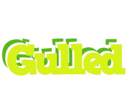 Gulled citrus logo