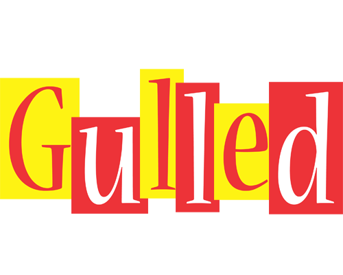 Gulled errors logo