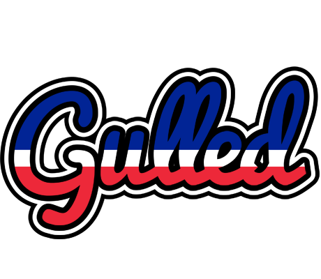 Gulled france logo