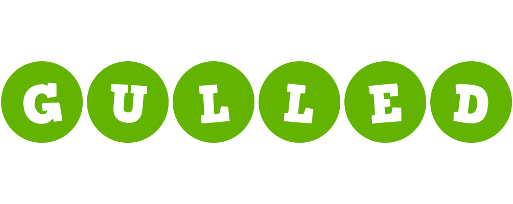 Gulled games logo