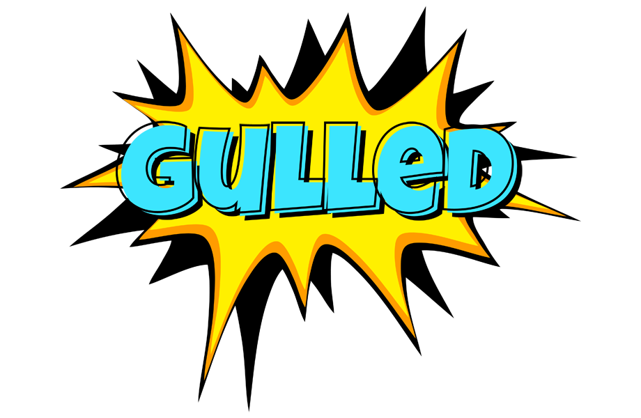 Gulled indycar logo