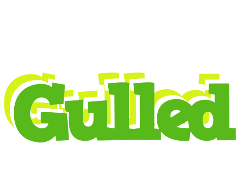 Gulled picnic logo
