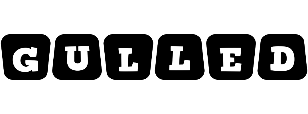 Gulled racing logo