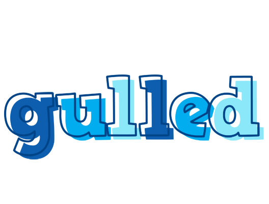 Gulled sailor logo