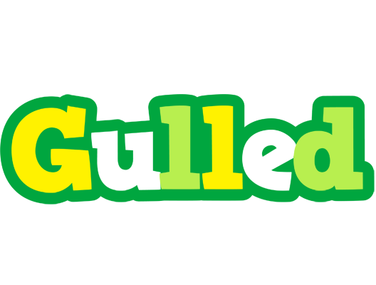 Gulled soccer logo