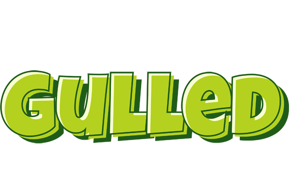 Gulled summer logo