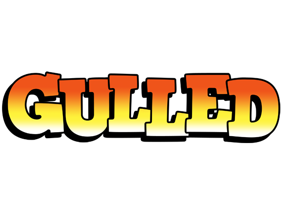 Gulled sunset logo
