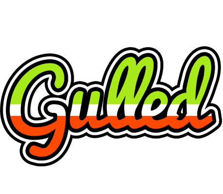 Gulled superfun logo