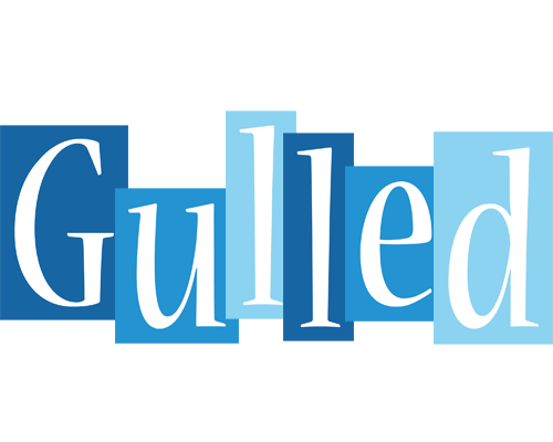 Gulled winter logo