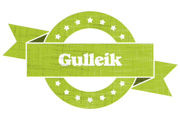 Gulleik change logo