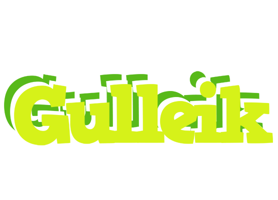 Gulleik citrus logo