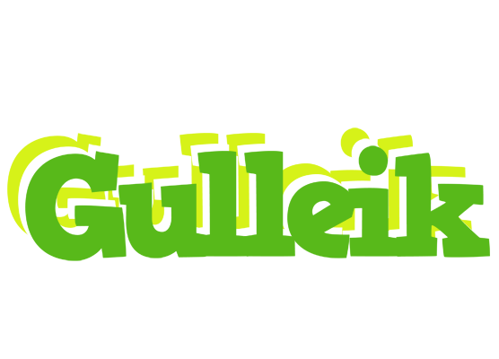 Gulleik picnic logo