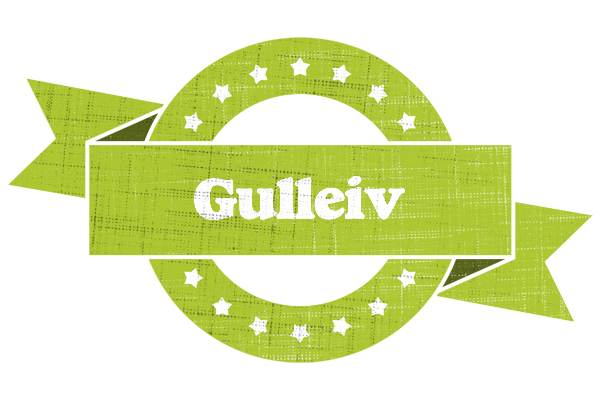 Gulleiv change logo