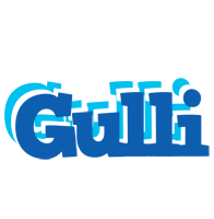 Gulli business logo