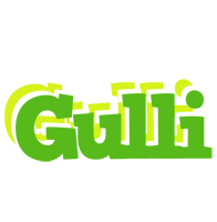 Gulli picnic logo