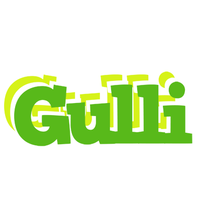 Gulli picnic logo