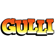 Gulli sunset logo