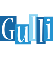 Gulli winter logo