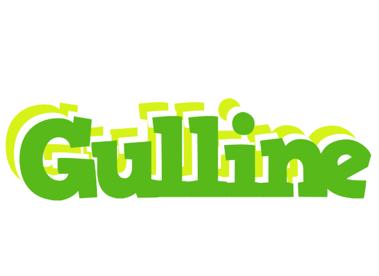 Gulline picnic logo