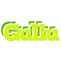 Gullu citrus logo