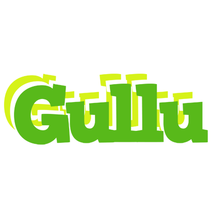 Gullu picnic logo