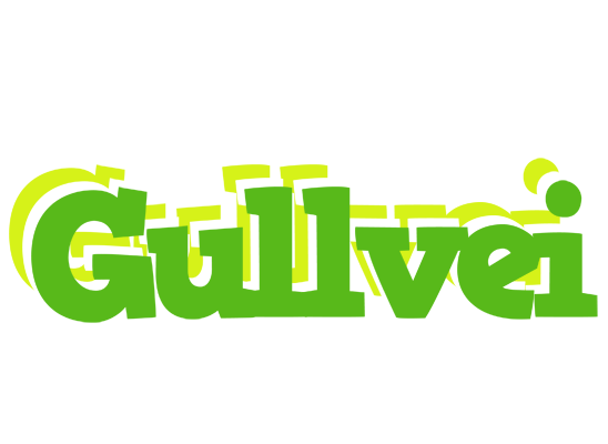 Gullvei picnic logo
