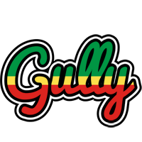 Gully african logo