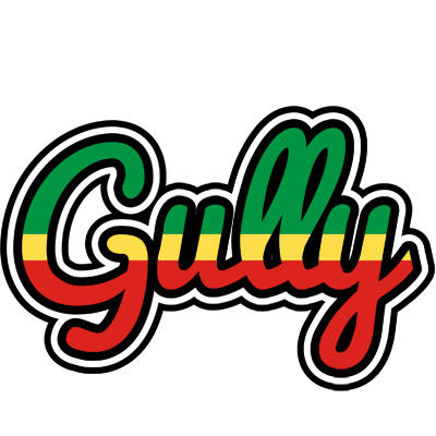 Gully african logo