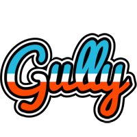 Gully america logo