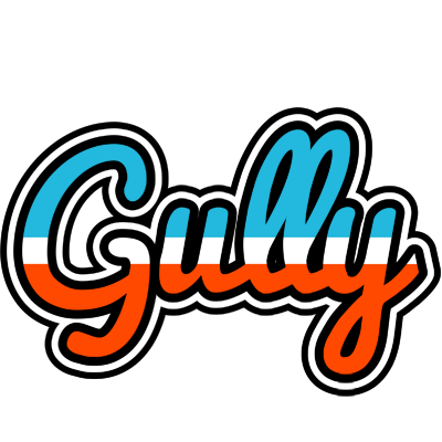 Gully america logo